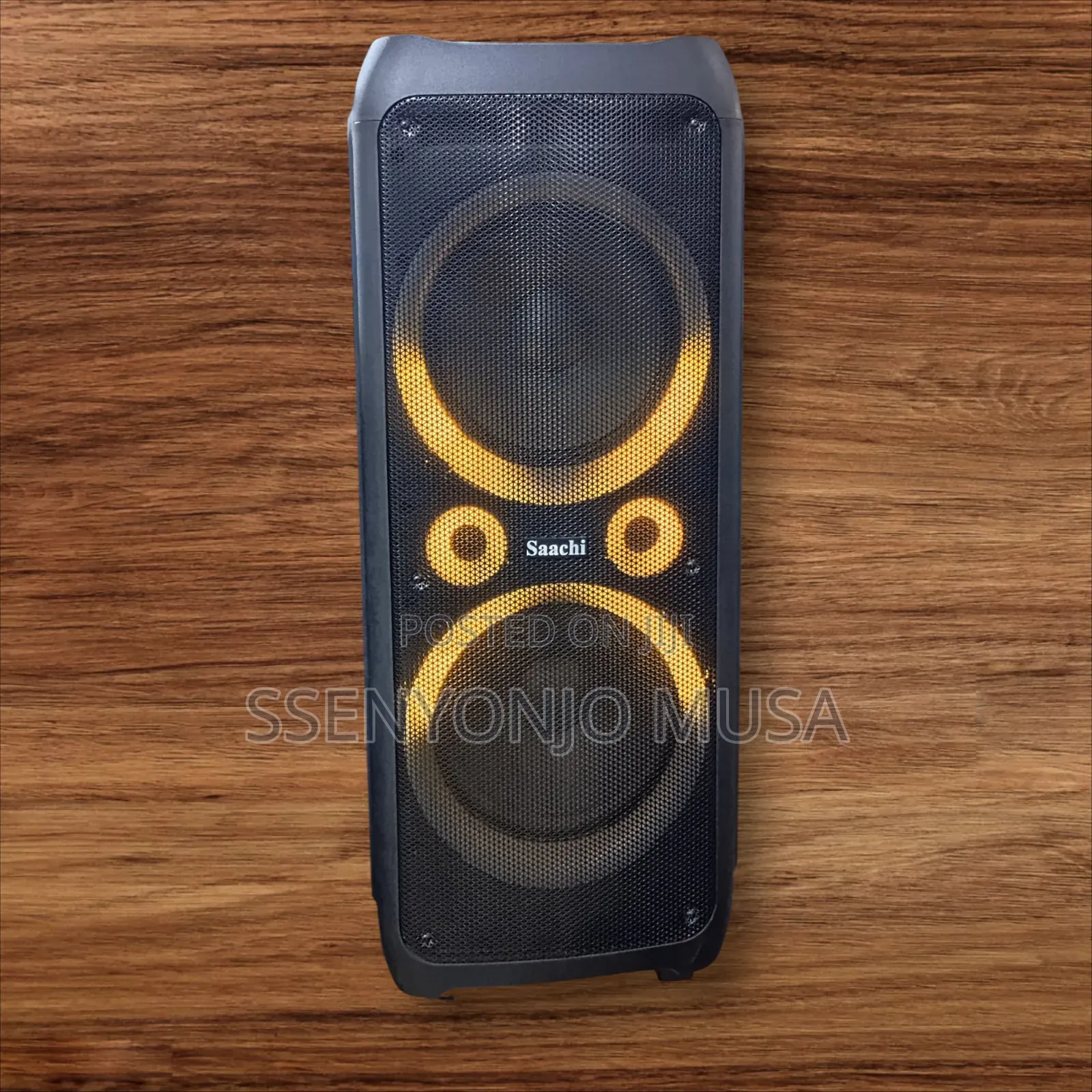 Saachi Nl-Sp-6336 12" Dual Professional Bluetooth Speaker