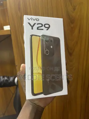 New Vivo V29 256 GB