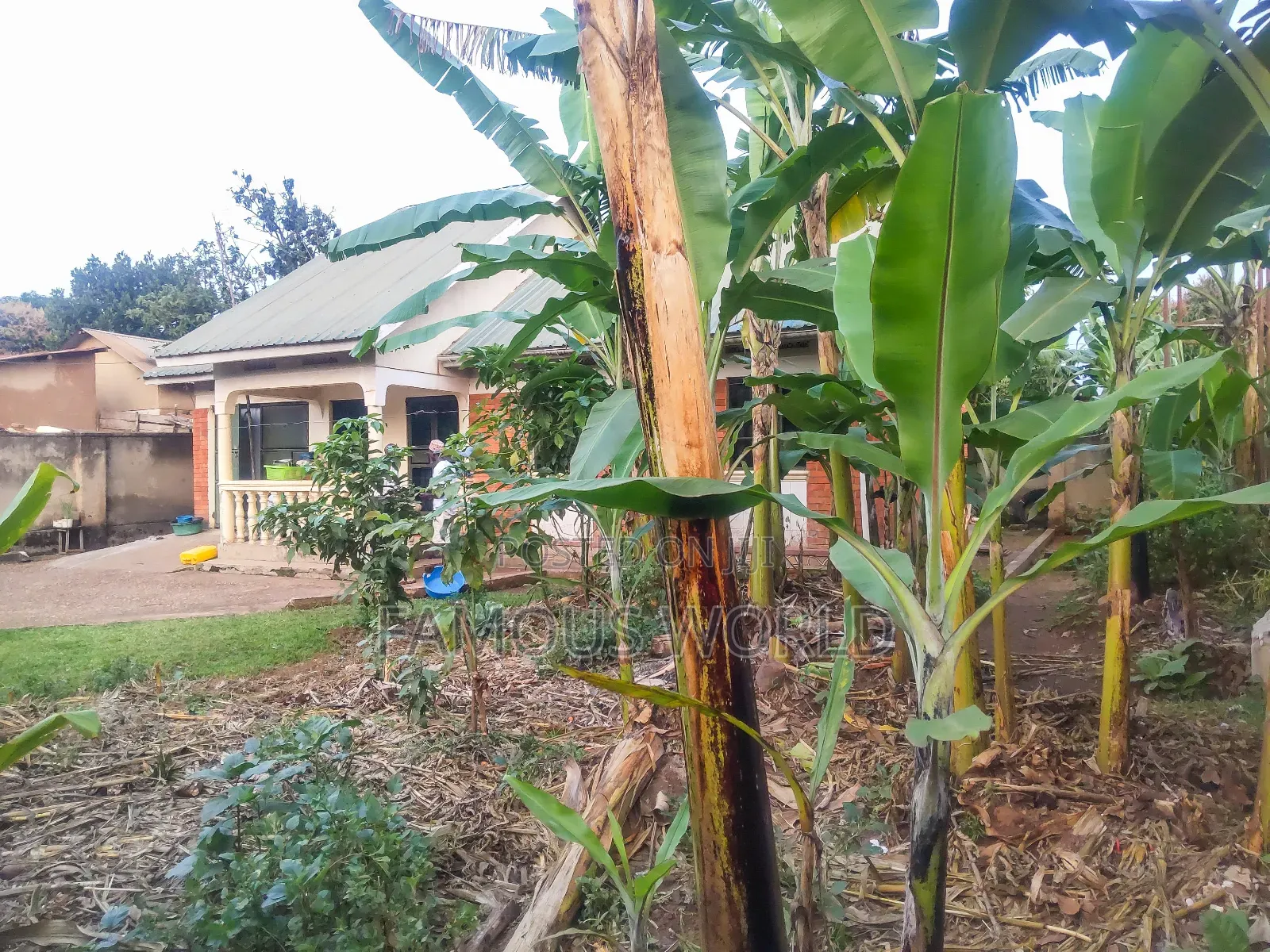 3bdrm House in Bunono Covid Centre, Katabi for sale