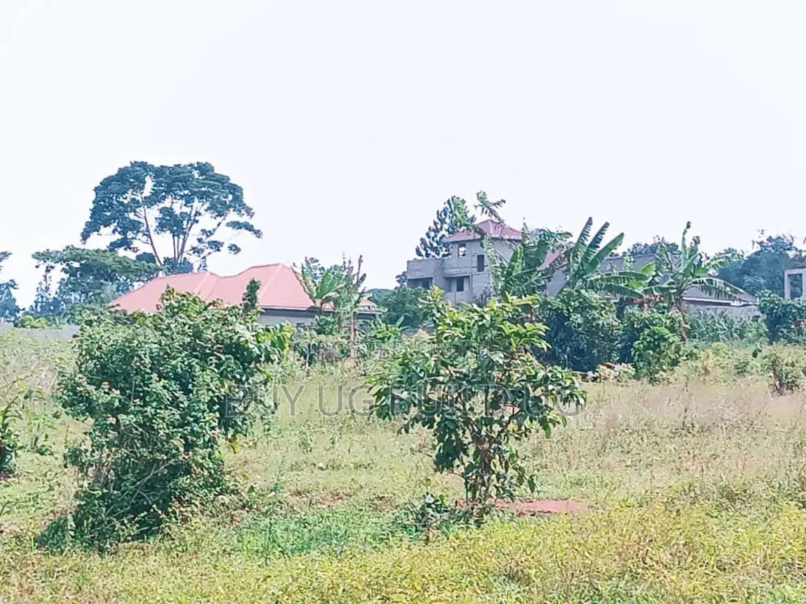 Quick Sale 
50ft by 100 at 35m for Sale in Namugongo Kiwango