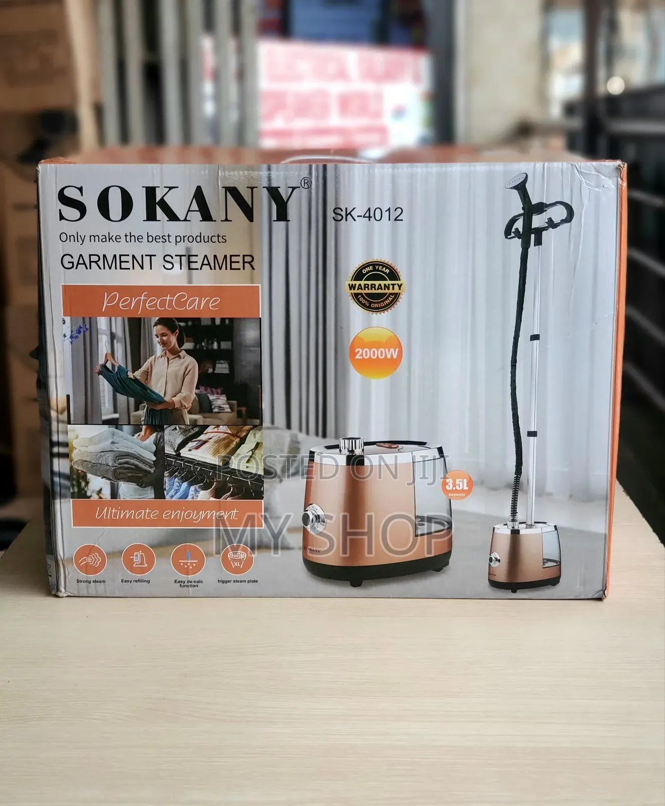 Professional Garment Steamer
