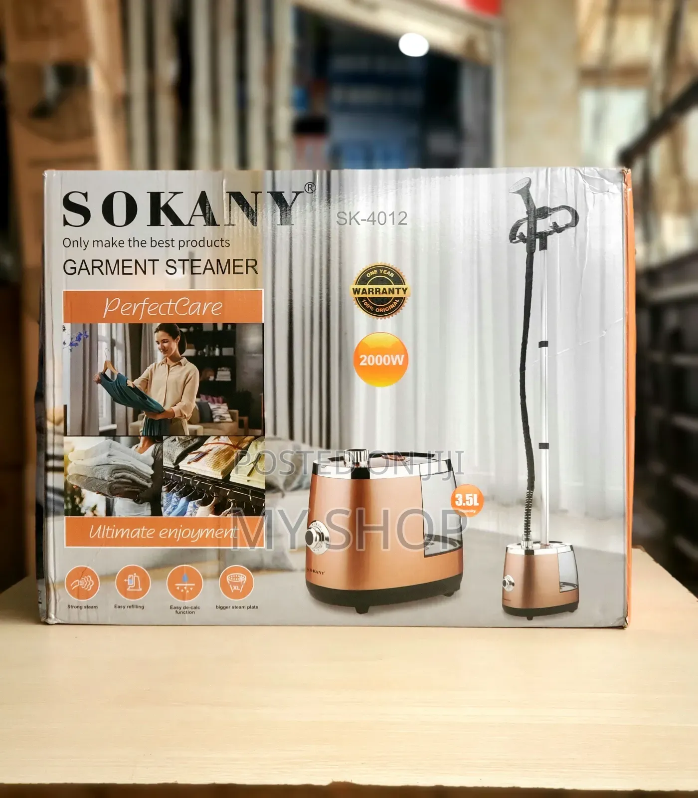 Professional Garment Steamer