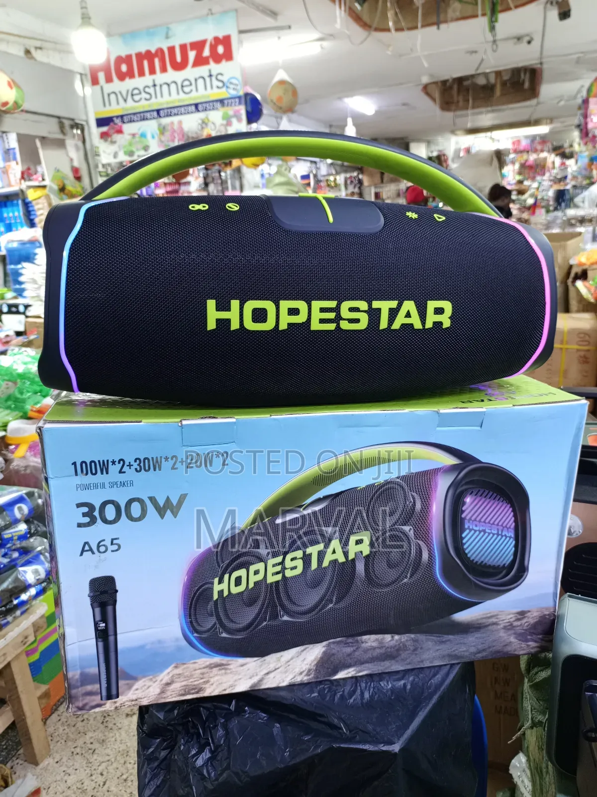 A65 300w Portable Speaker.