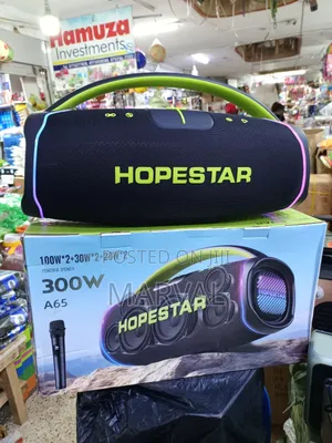 A65 300w Portable Speaker.