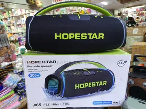 300w Hopestar A65 Speaker