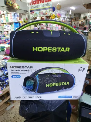 300w Hopestar A65 Speaker