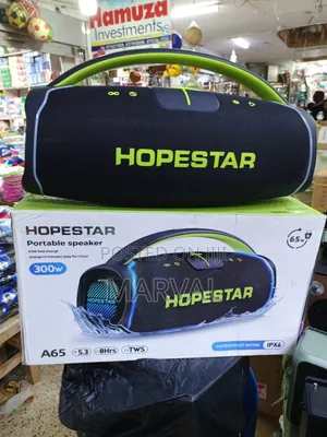 300w Hopestar A65 Speaker