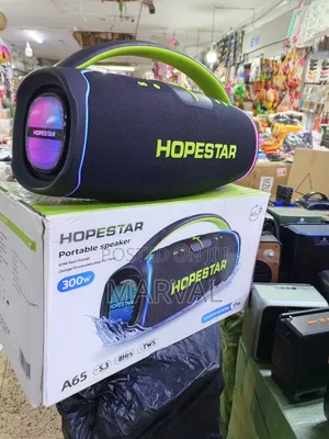 300w Hopestar A65 Speaker