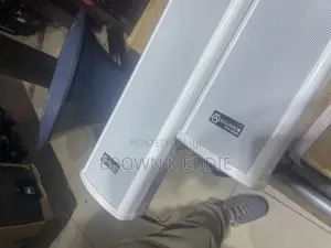 High Quality Colon Wall Speakers