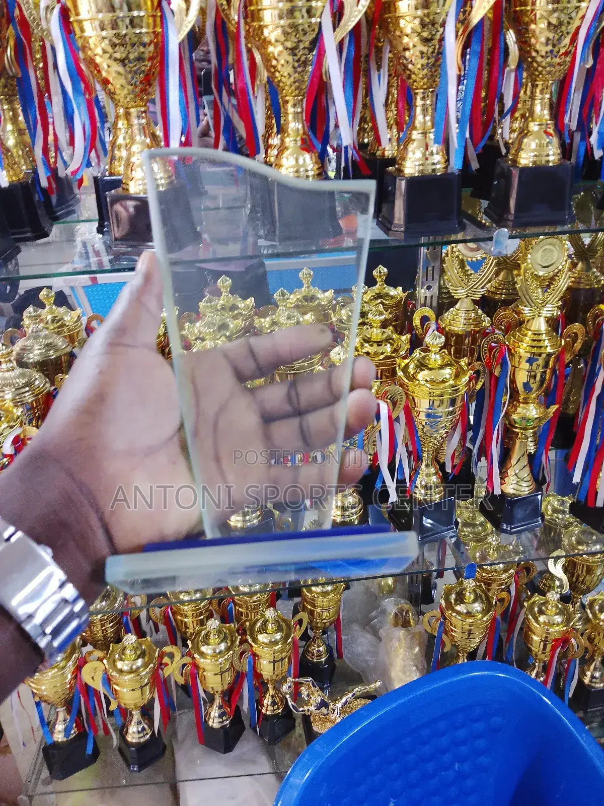 Grass Trophie
