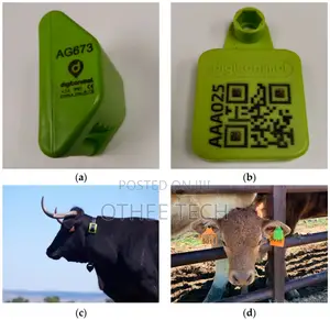 Livestock Tracking (Rfid Ear Tags, GPS Collars)
