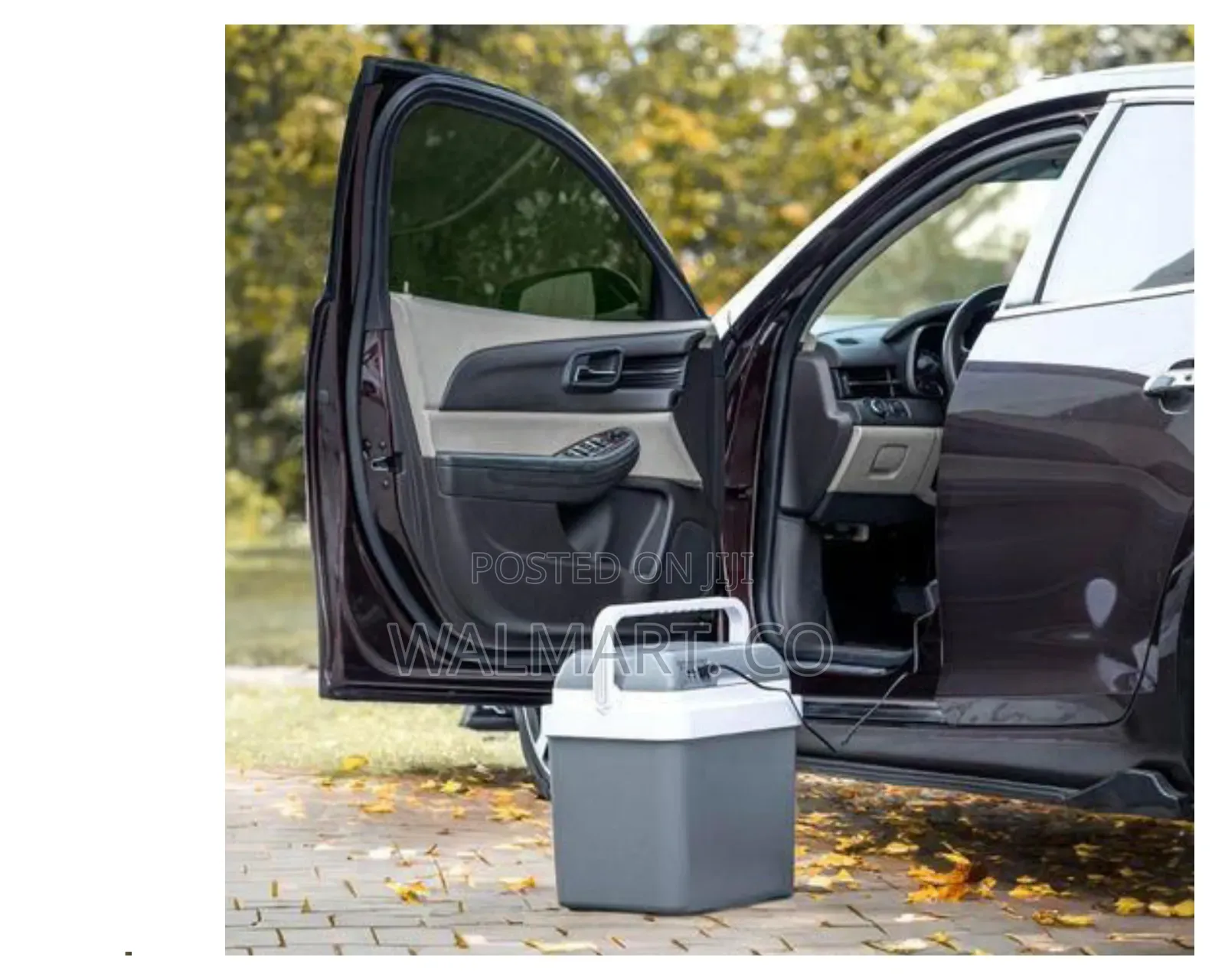 Geepas 24l Hot and Cold Car Fridge