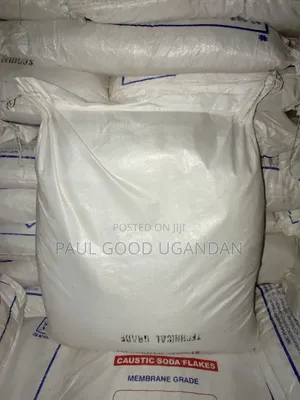 Shriram Caustic Soda (25kg)