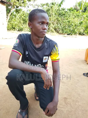 Looking for Any CV Available
