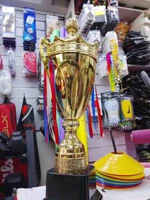Big Size Trophies