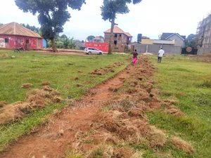 Nkumba Road Side Plot on Sale 140ft by 50ft on Kasenyi Main Road