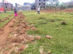 Nkumba Road Side Plot on Sale 140ft by 50ft on Kasenyi Main Road