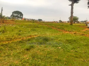Nkumba Road Side Plot on Sale 140ft by 50ft on Kasenyi Main Road