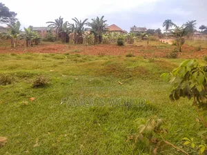 Nkumba Road Side Plot on Sale 140ft by 50ft on Kasenyi Main Road