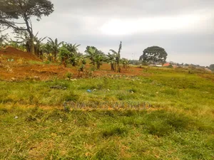 Nkumba Road Side Plot on Sale 140ft by 50ft on Kasenyi Main Road
