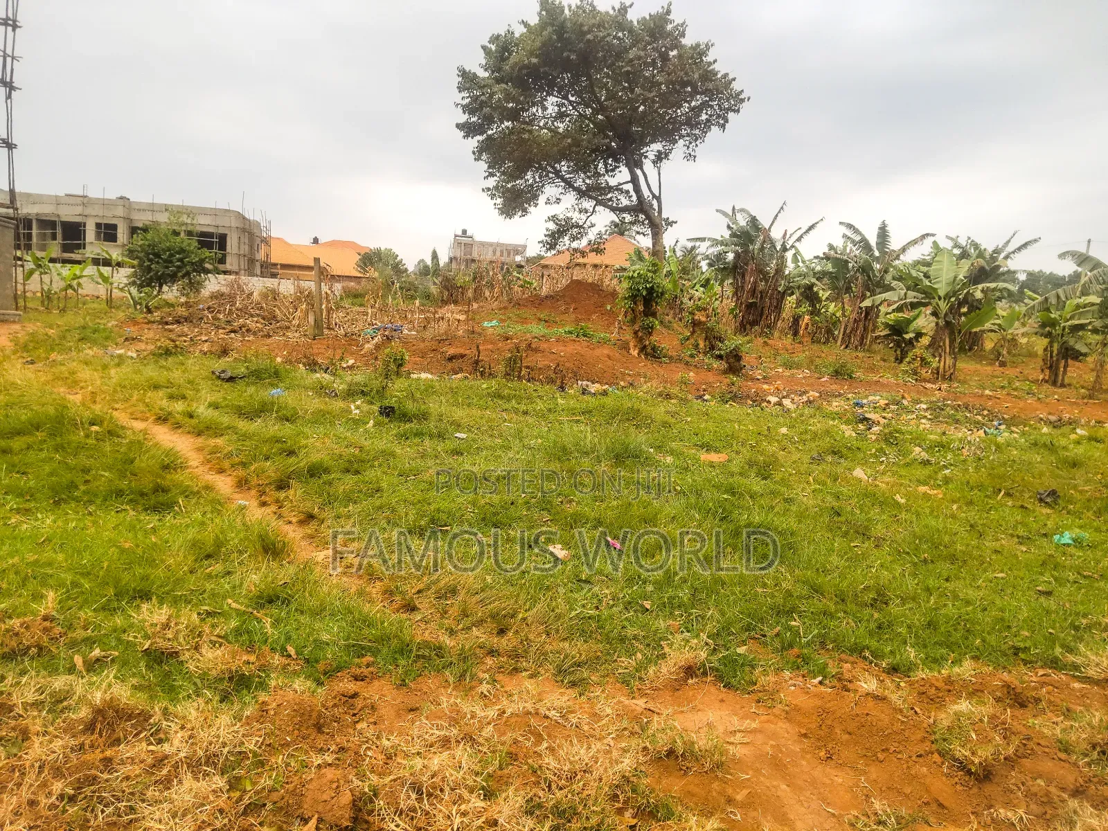 Nkumba Road Side Plot on Sale 140ft by 50ft on Kasenyi Main Road