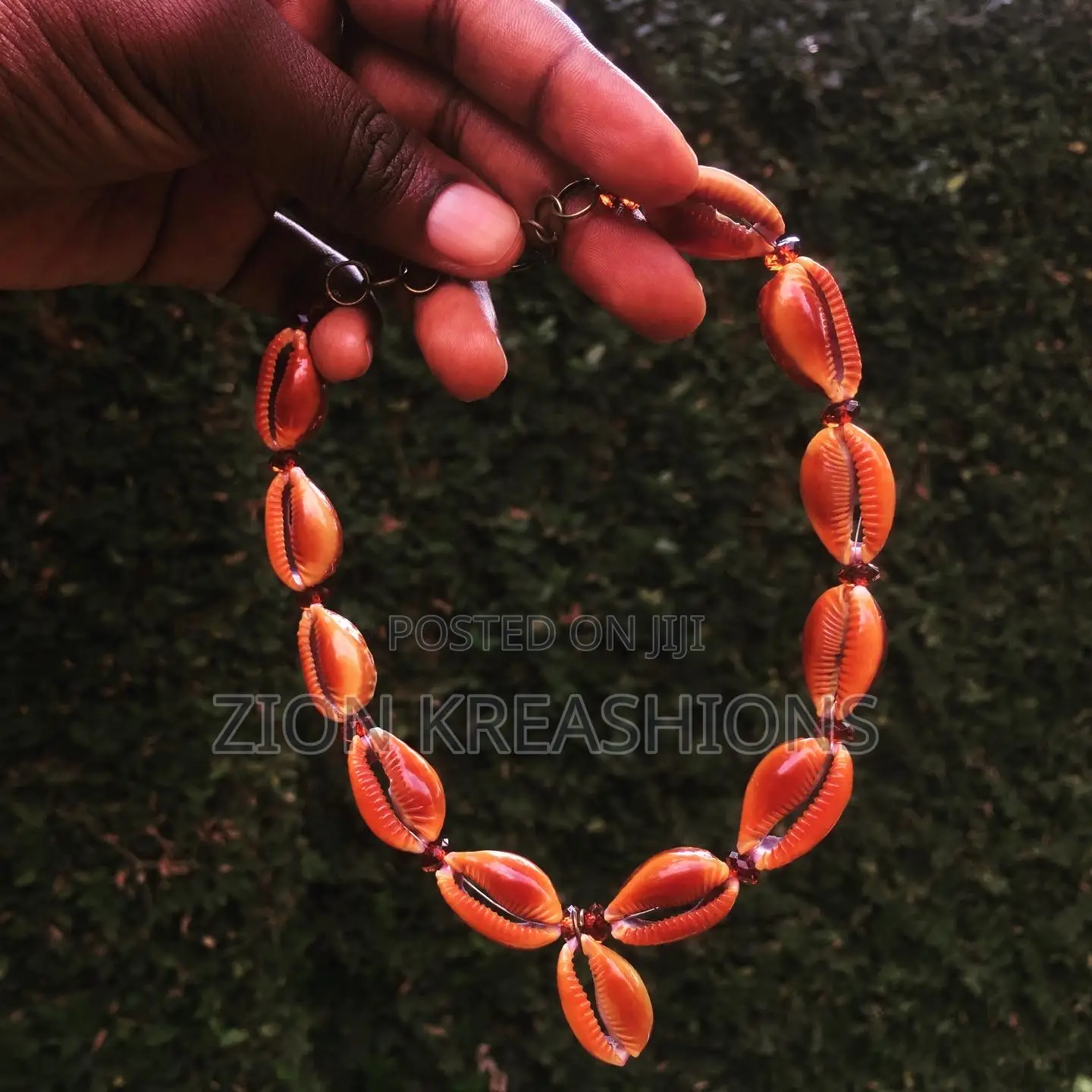 Honey Cowrie Shells Necklace