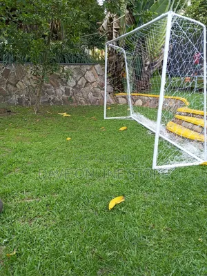24ft X 8ft Standard Professional Goal Posts Pair