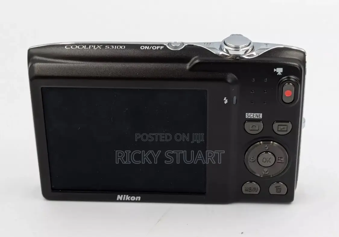 Nikon Coolpix S3100 Silver Vintage Digital Camera