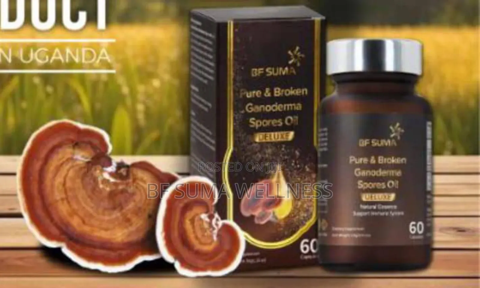 Pure And Broken Garnoderma Spore Oil Capsules