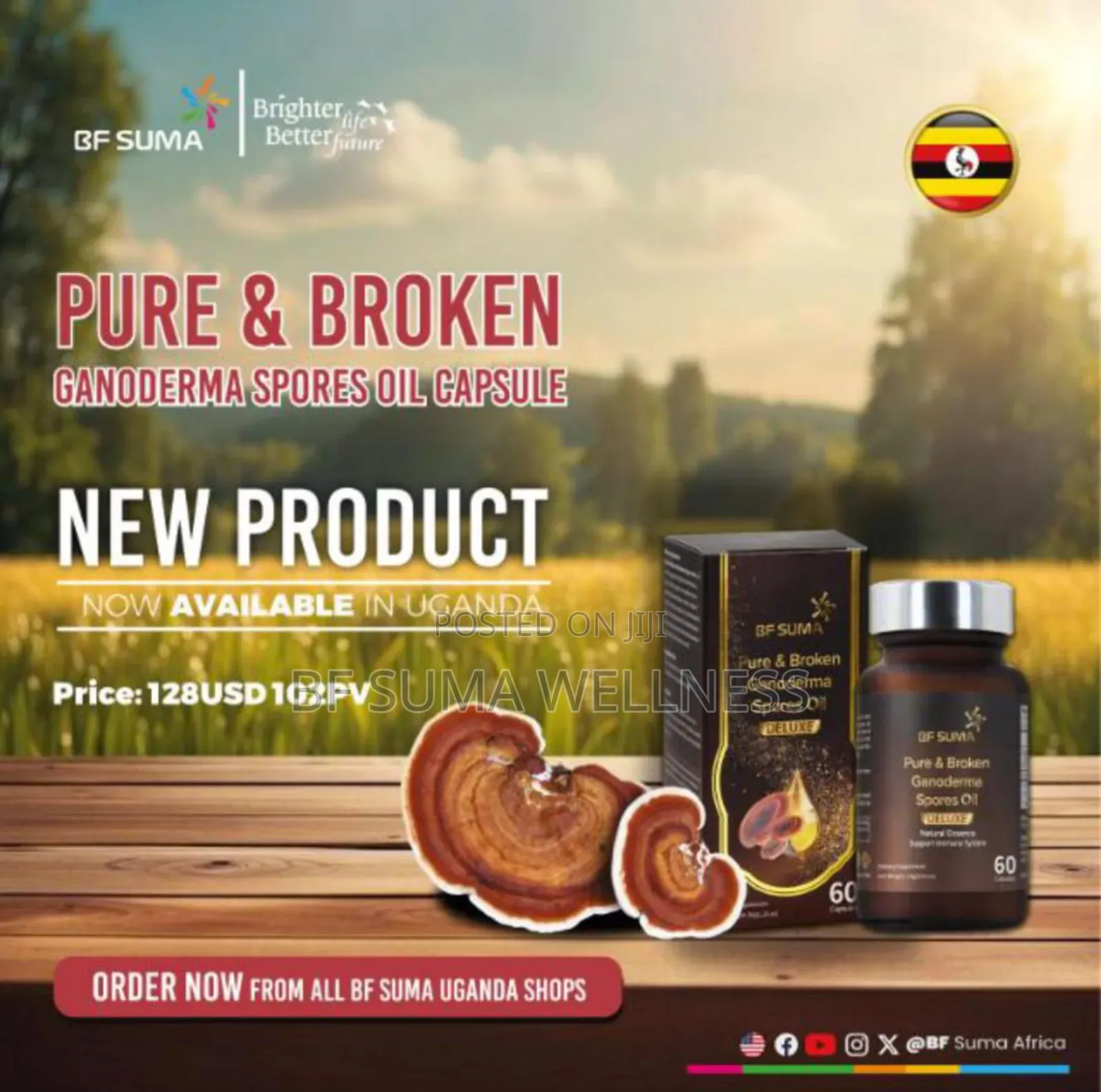 Pure And Broken Garnoderma Spore Oil Capsules
