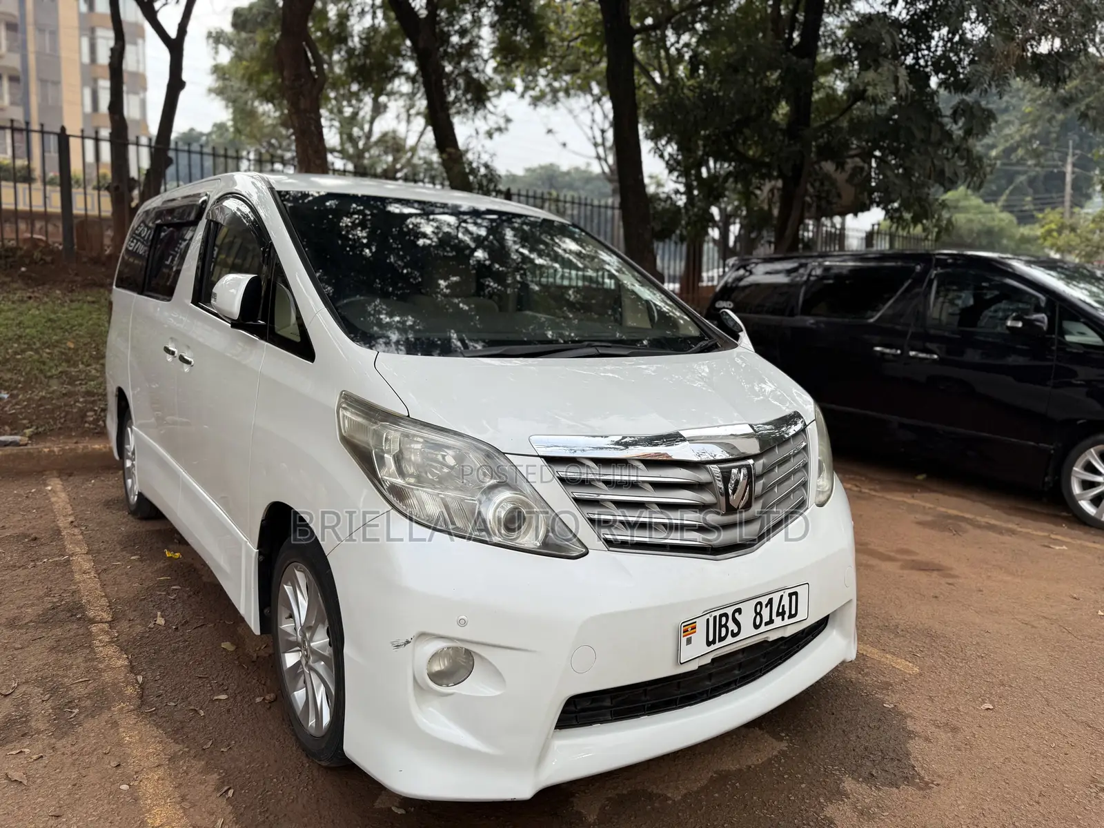 Toyota Alphard 2010 White