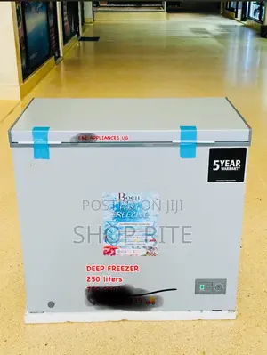 Roch 250 Liters Original Chest Freezer