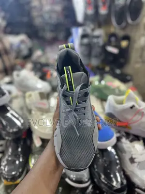 Reebok Zig Dymanica 5 Running Shoes for Men