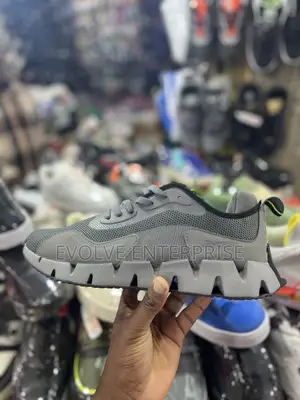 Reebok Zig Dymanica 5 Running Shoes for Men