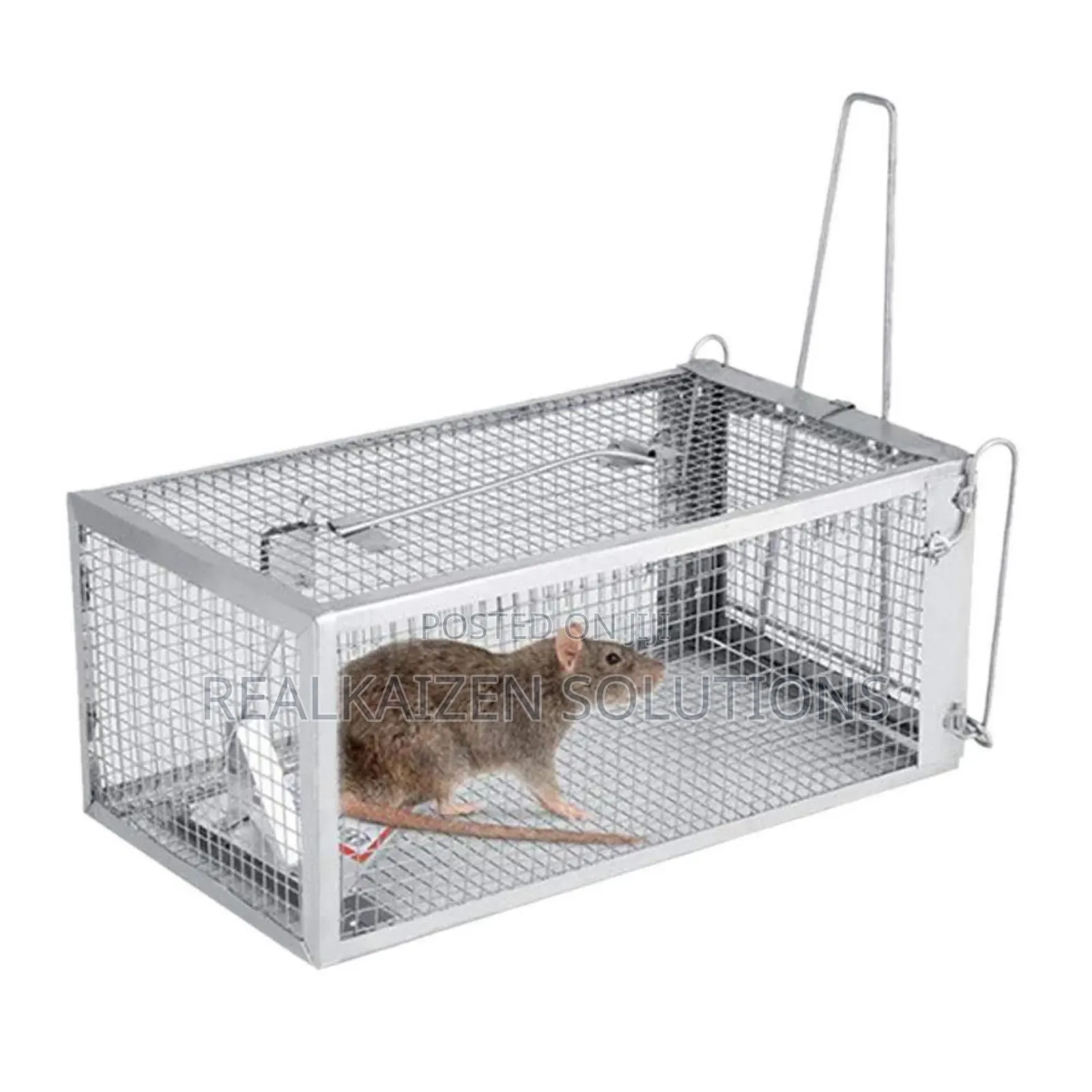 Outdoor | Indoor Reusable Humane Iron Cage Rodent Rat Trap