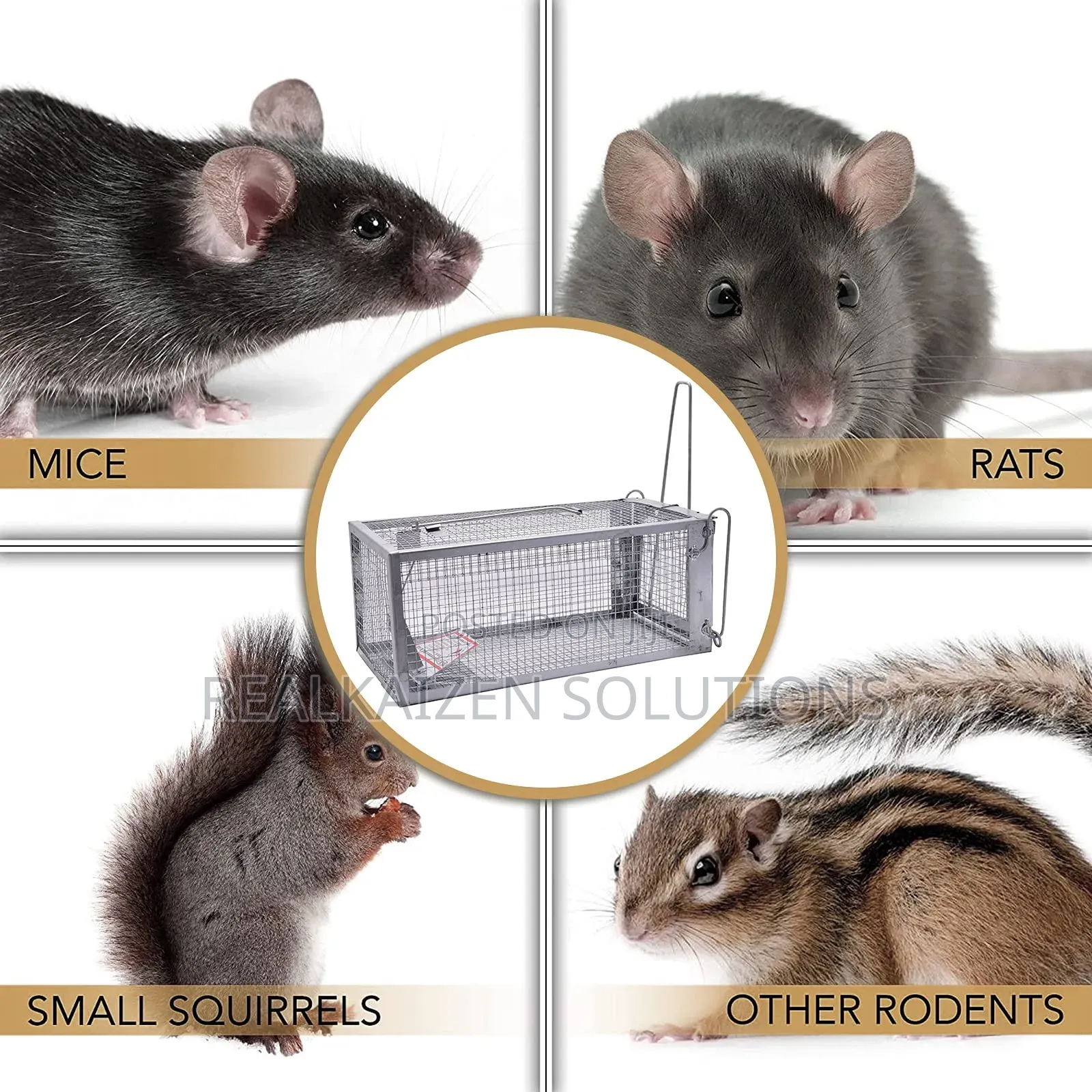 Outdoor | Indoor Reusable Humane Iron Cage Rodent Rat Trap