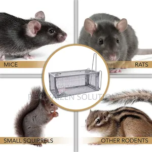 Outdoor | Indoor Reusable Humane Iron Cage Rodent Rat Trap