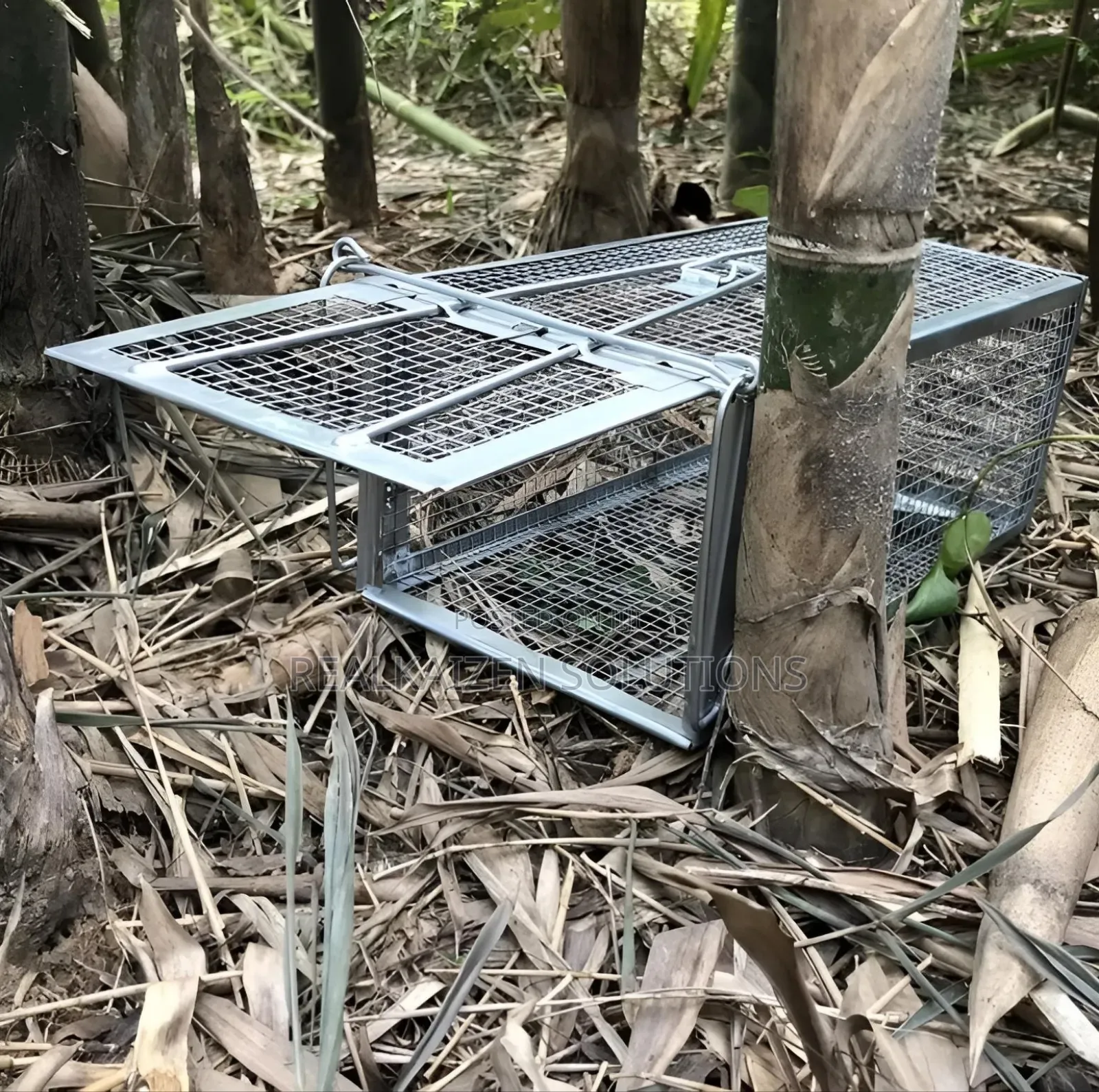 Outdoor | Indoor Reusable Humane Iron Cage Rodent Rat Trap