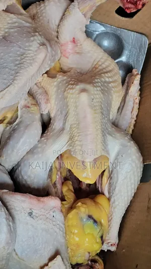 Dressed Turkey Holiday Pack