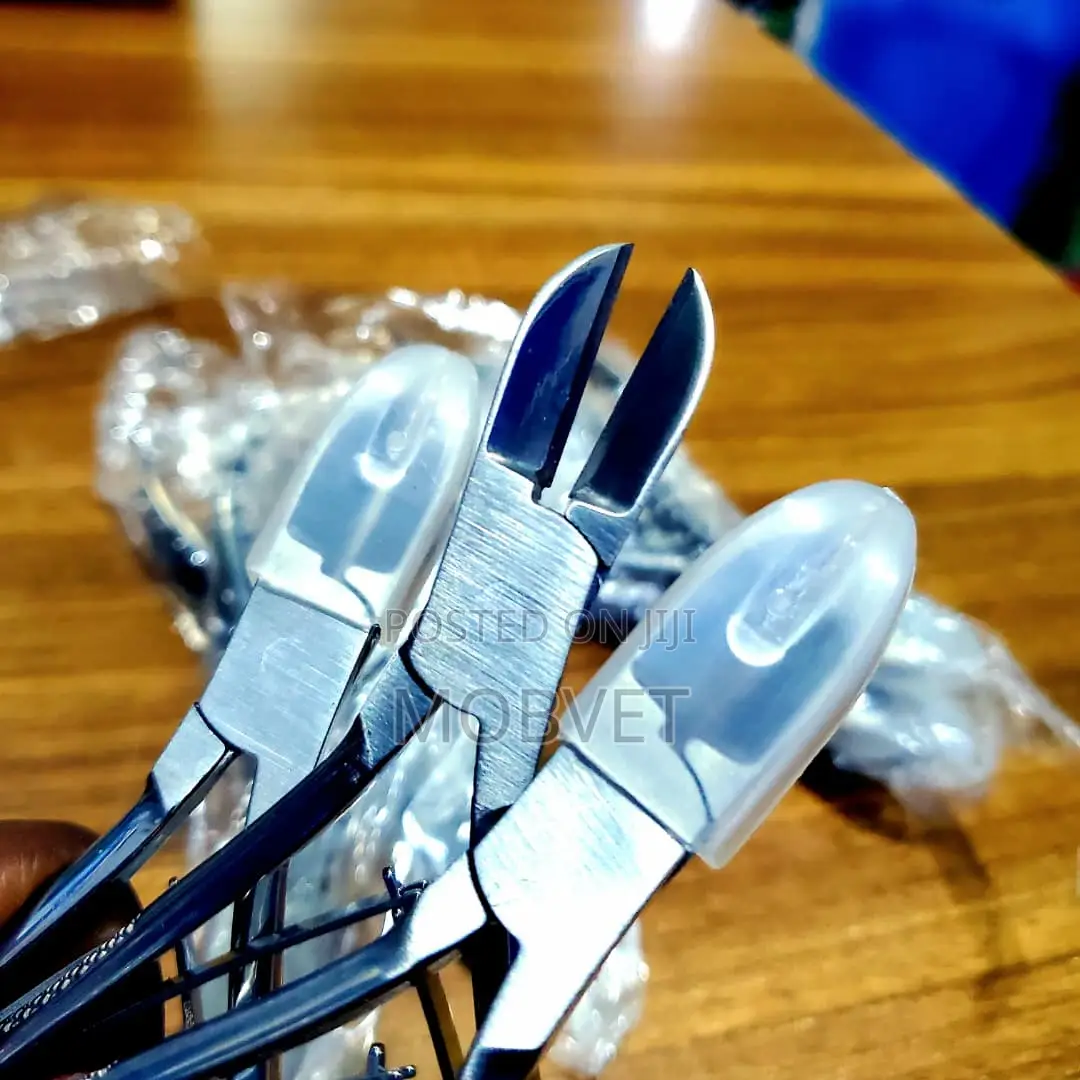 Pig Teeth Cutter