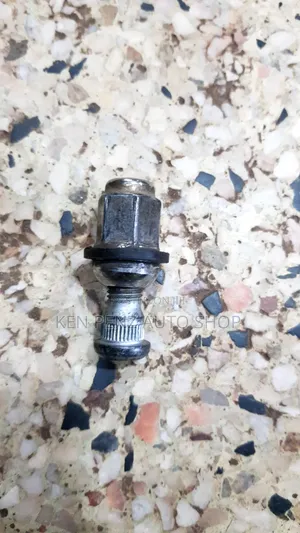 Noah Ordinary Hub Studs