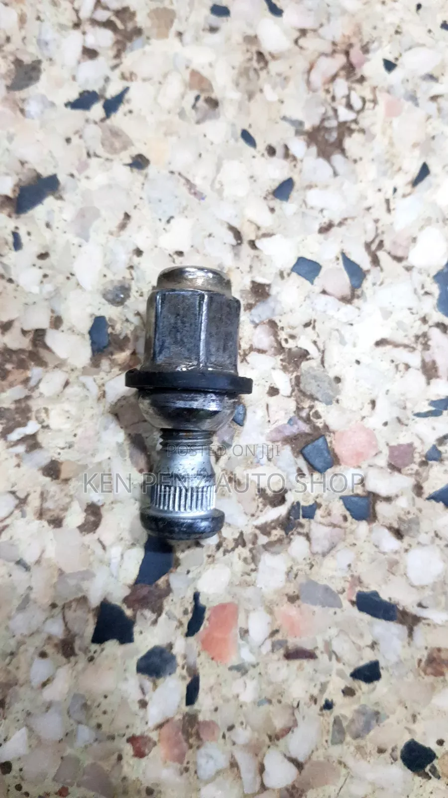 Noah Ordinary Hub Studs