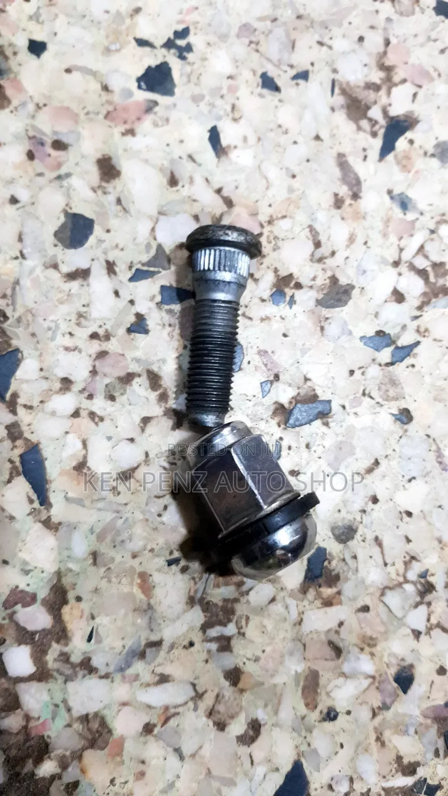 Noah Ordinary Hub Studs