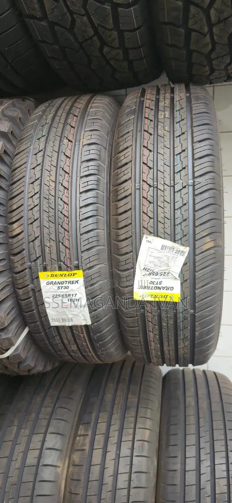 225/65r17 102h St30 Dunlop Grandrek