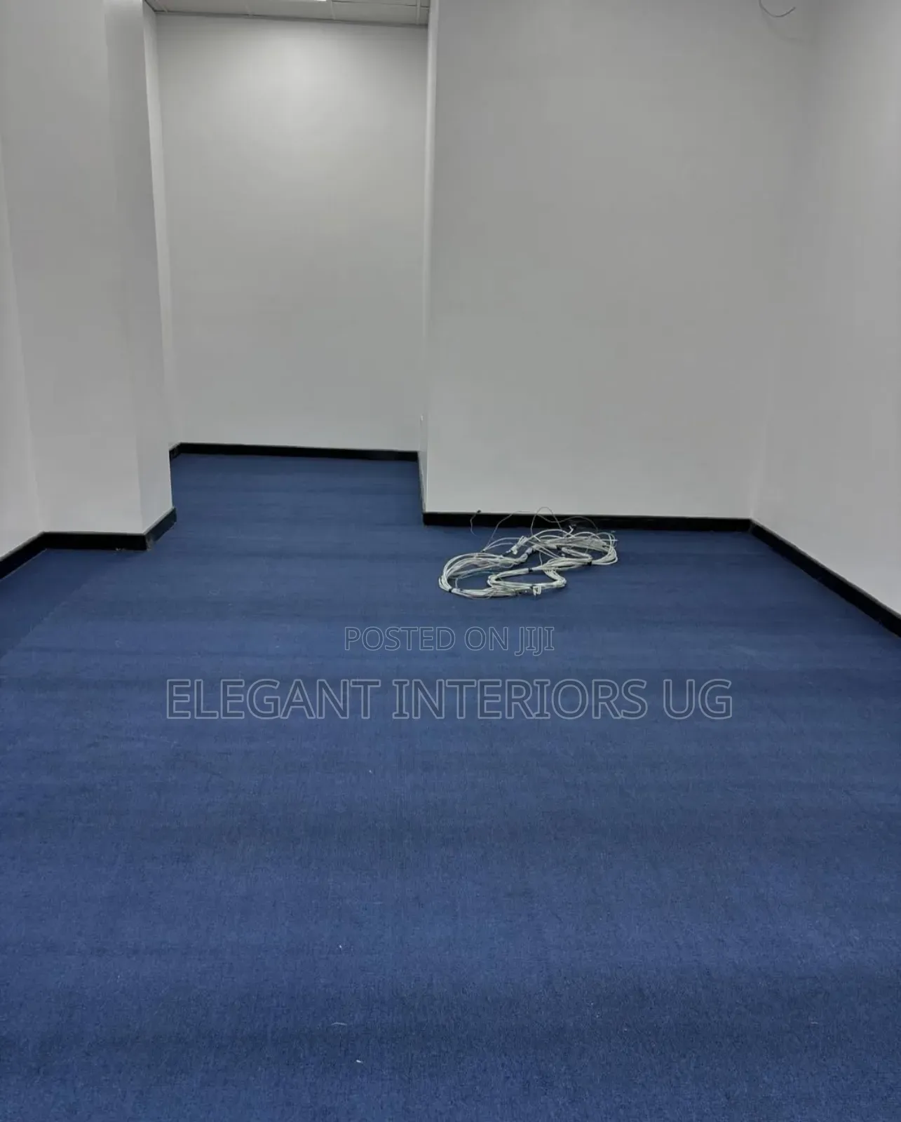 Office Woolen Carpets Available in All Designs and Colours Per Meter