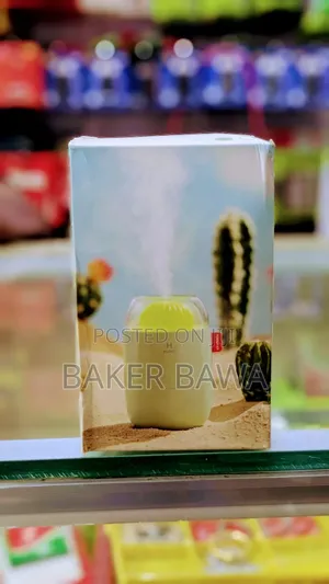 Cactus Humidifier H2o