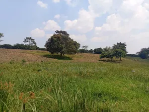 Matuga 20 Acres for Sale