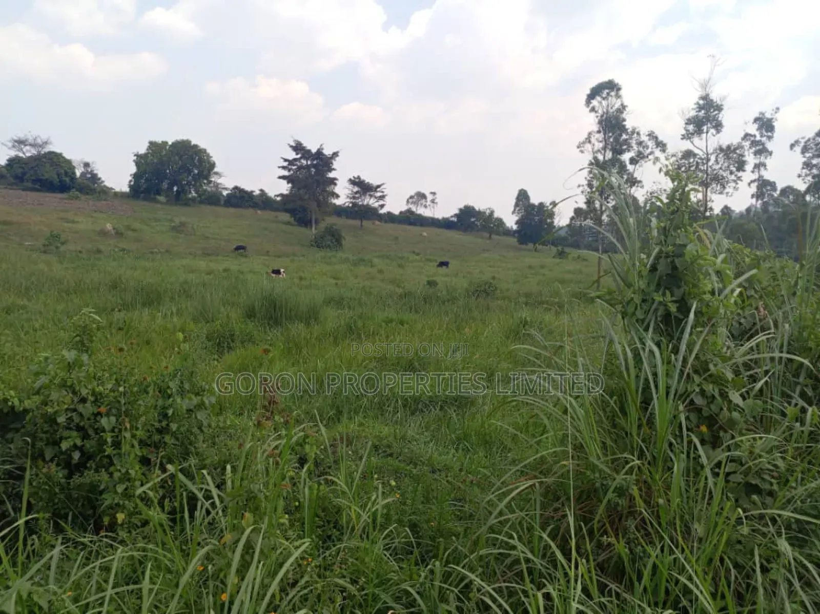 Matuga 20 Acres for Sale