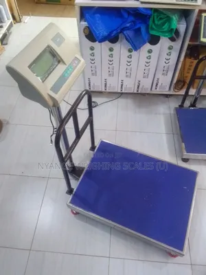 Stainless Steal A12 Weigh Scale Digital Platform Weighing Scale