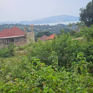 Muyenga Hill Road, Muyenga Kampala: 14 Decimals Plot for Sale at 450m
